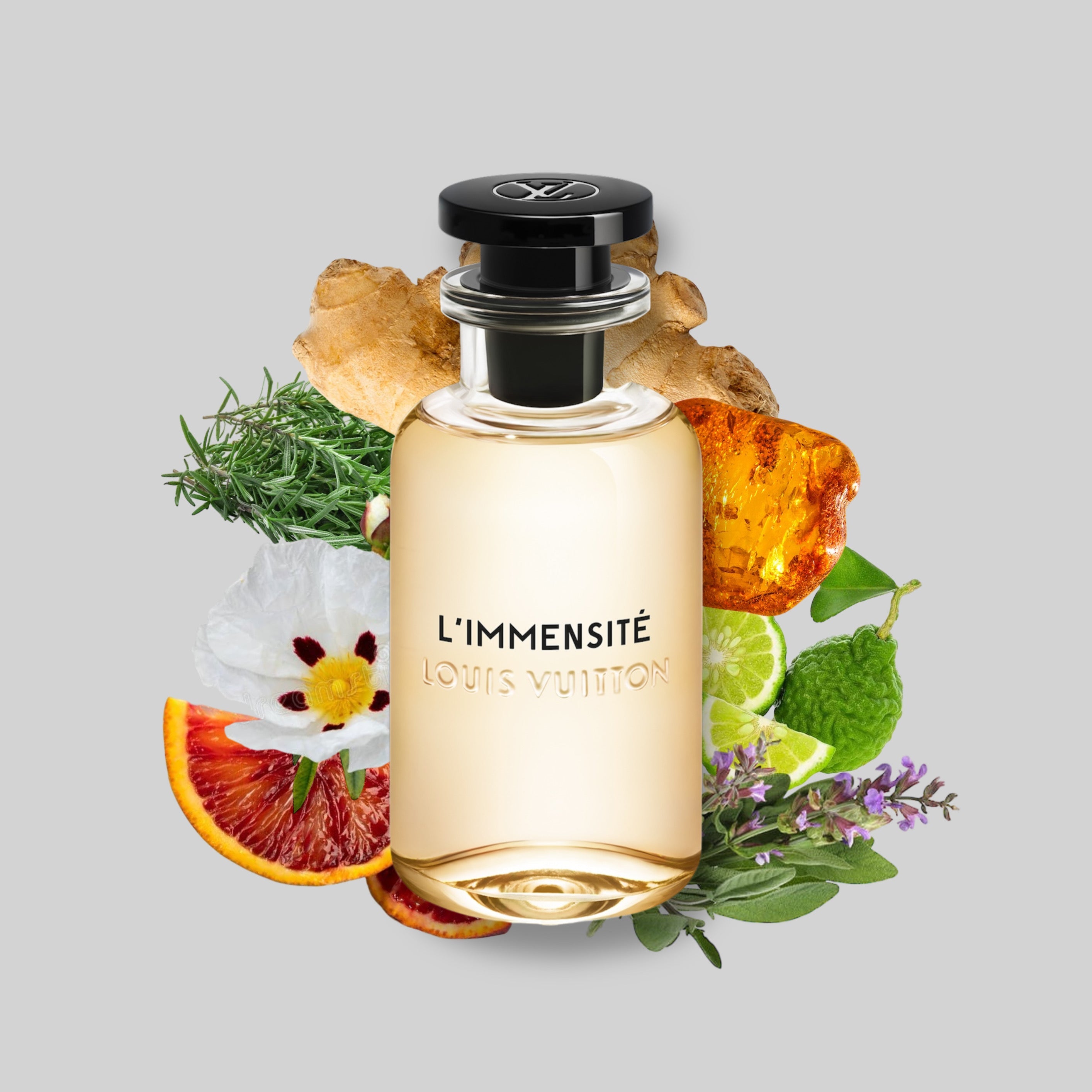 PERFUME MAISON ALHAMBRA JEAN LOWE IMMORTAL
