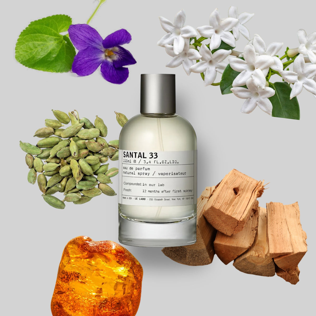 PERFUME STALLION 53