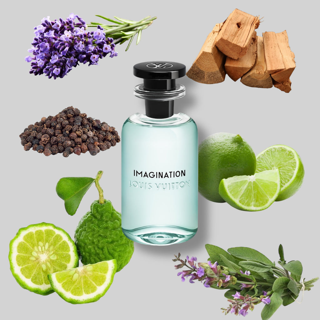 PERFUME ROME IMAGINE BHARARA