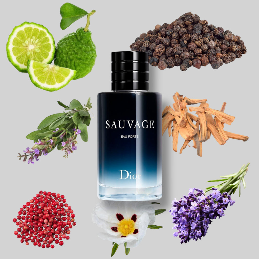 PERFUME INSIGNIA SABLE HAMIDI