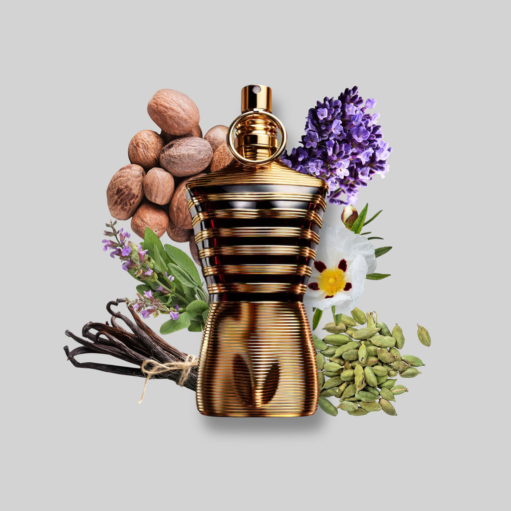 PERFUME 9PM ELIXIR
