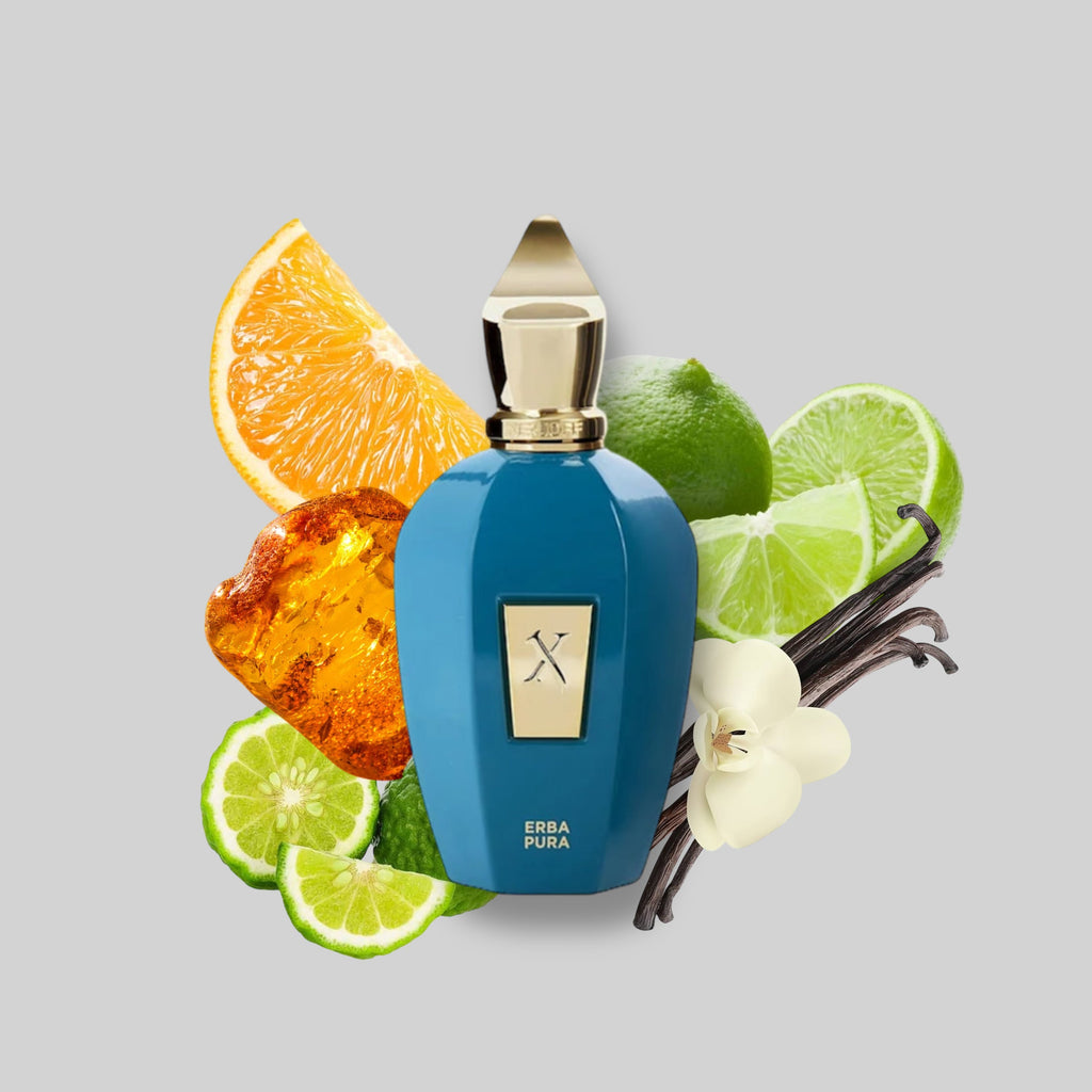 PERFUME BHARARA KING